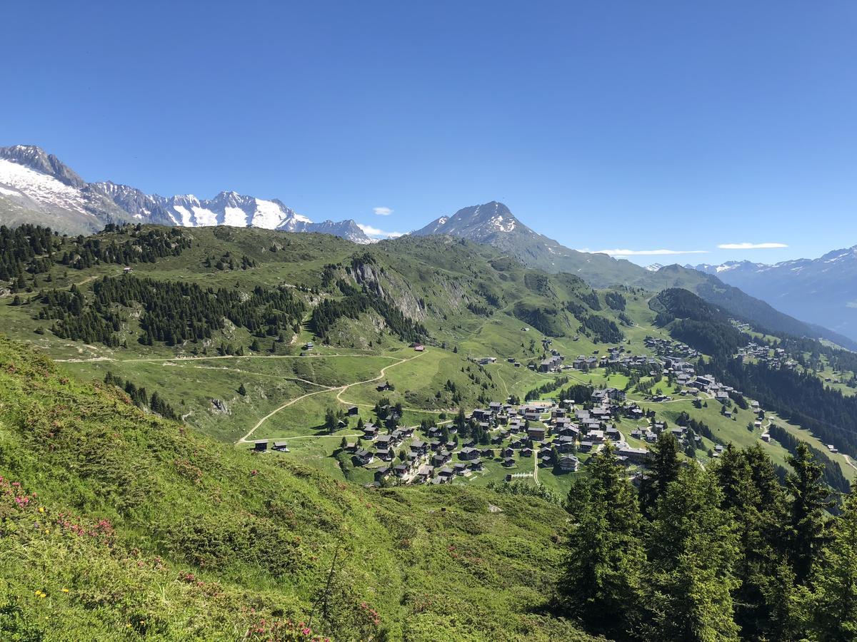 Hotel Berghaus Toni Riederalp Exterior foto